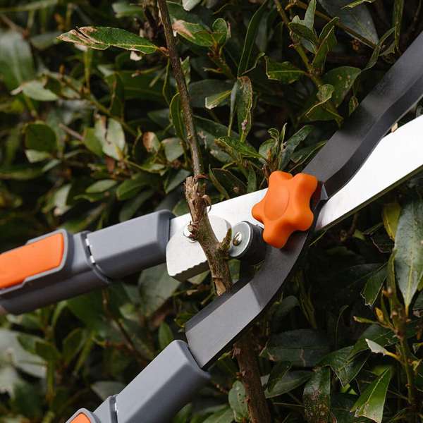 Neta Telescopic Hedge Shear