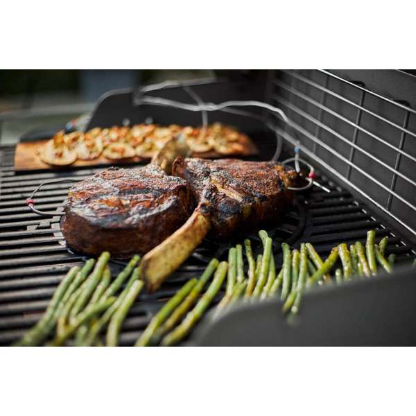 Weber Connect Smart Barbecue Hub