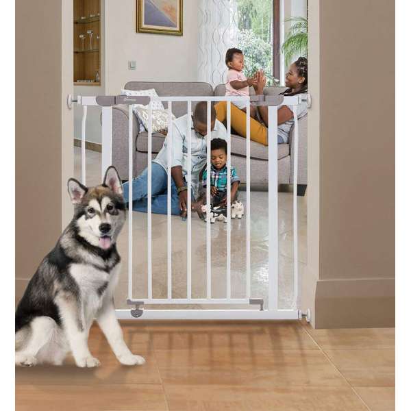 Dreambaby Ava Gate Swing Closed Security