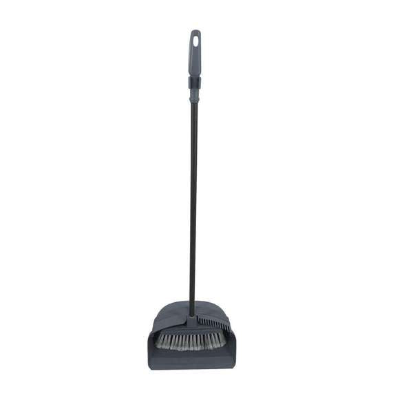 Buy Right Dustpan & Brush Long Handle with Teeth Grey