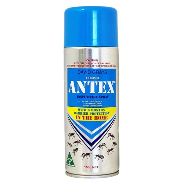 David Grays Antex Insecticide Ant Spray 150g