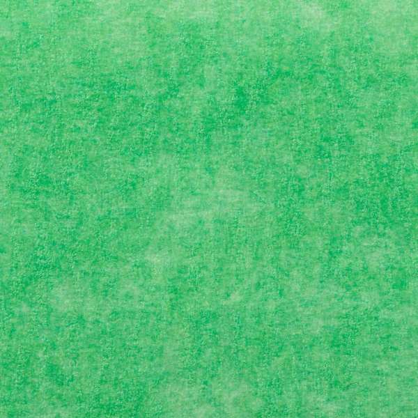 Painter's Mate Green Painter's Tape 24mm x 55m
