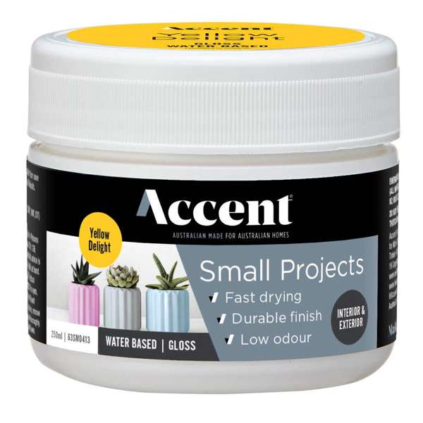 Accent Small Projects Water Based Gloss 250ml