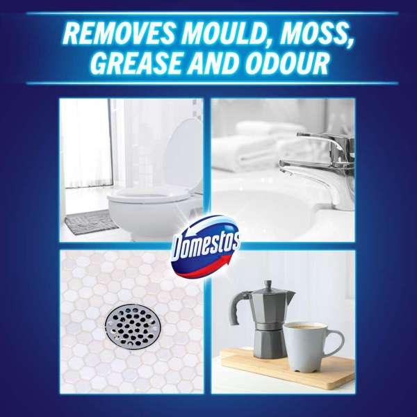 Domestos Regular Toilet Cleaner 750ml