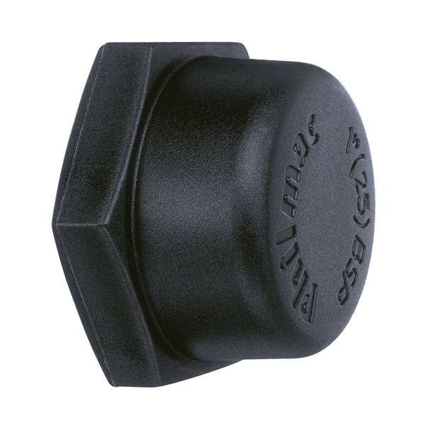 Philmac BSP Cap Poly 3/4"