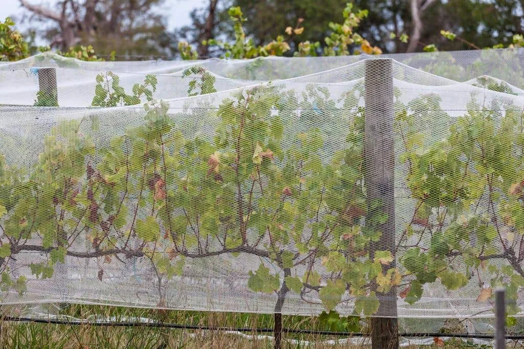 Abshade Bird Netting 5mm 4 x 10m