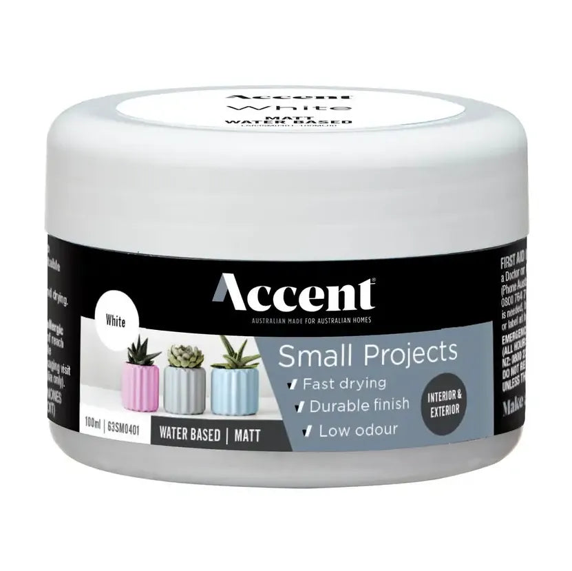 Accent Small Projects Water Based Matt 100ml