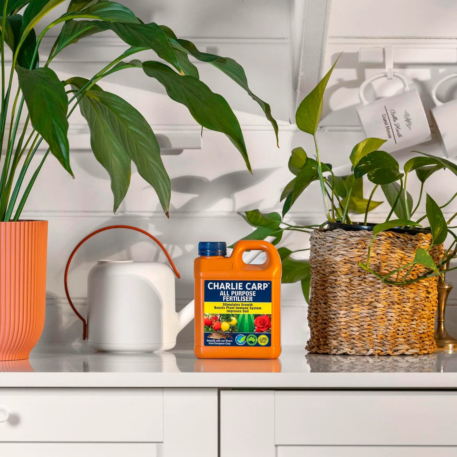 Charlie Carp All Purpose Fertiliser 1L
