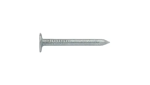 Clout Nails Galv 30 x 2.8mm 500g