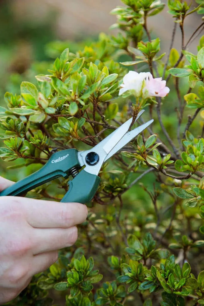 Cyclone Floral Snips
