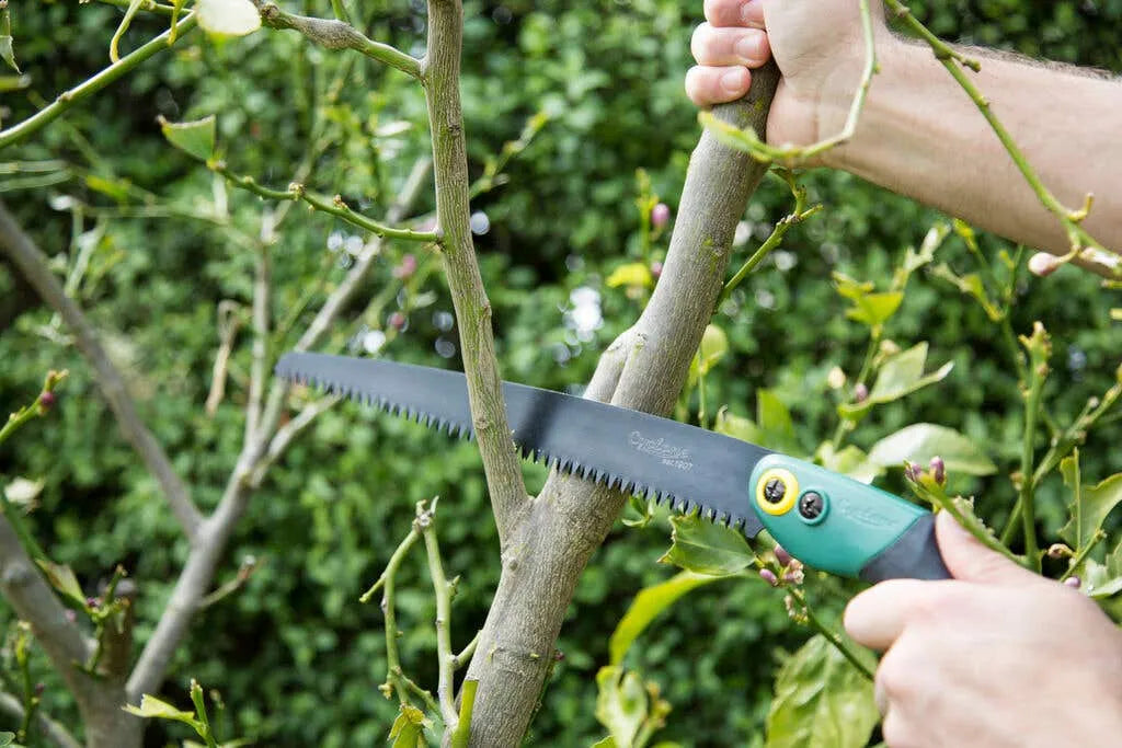 Cyclone Pruning Straight Fixed Saw