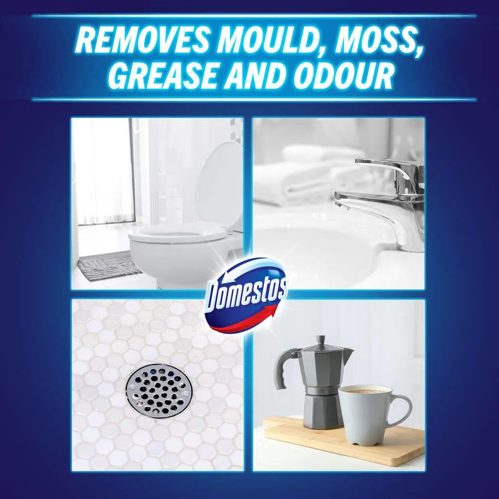Domestos Regular Toilet Cleaner 750ml