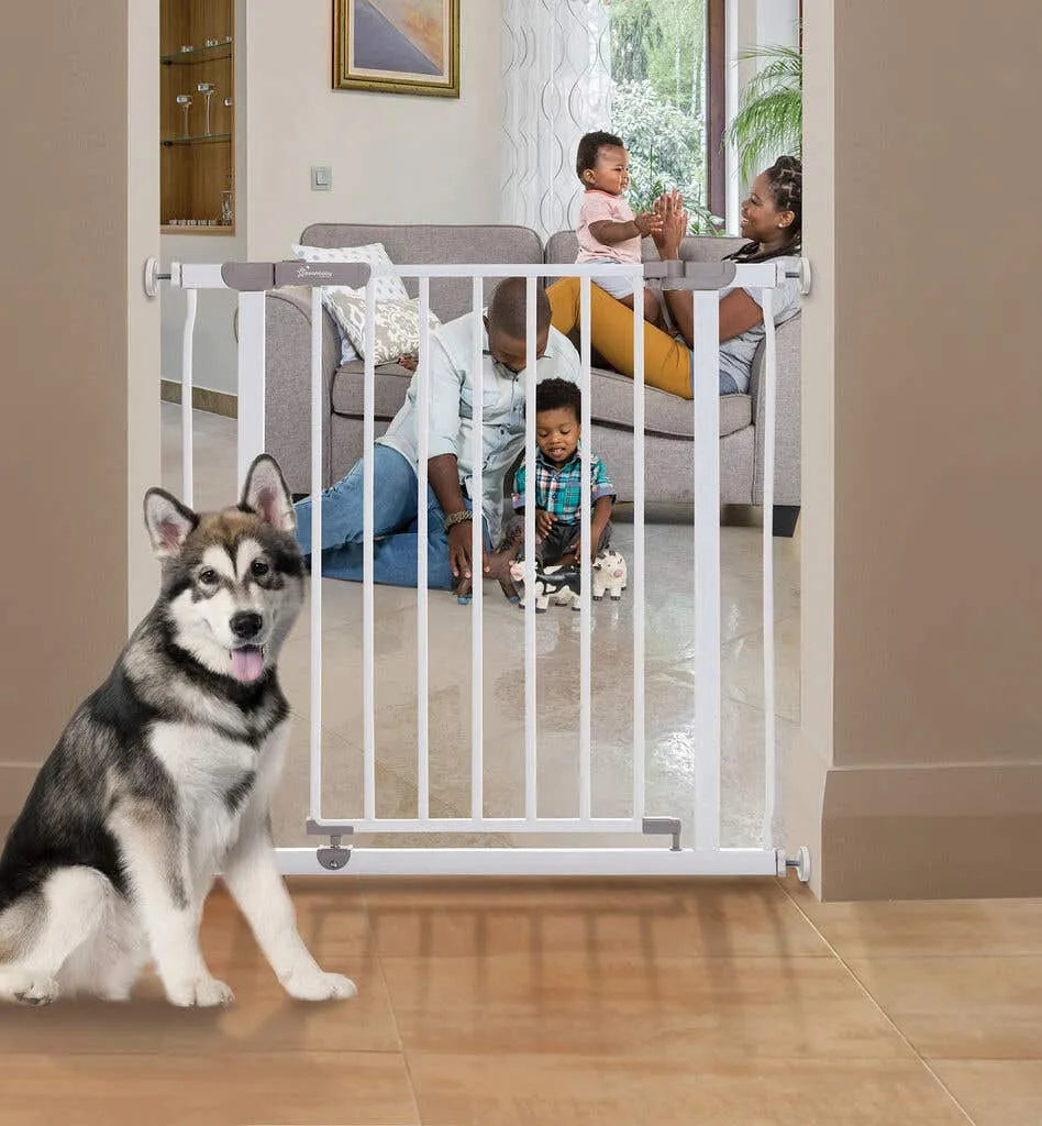 Dreambaby Ava Gate Swing Closed Security