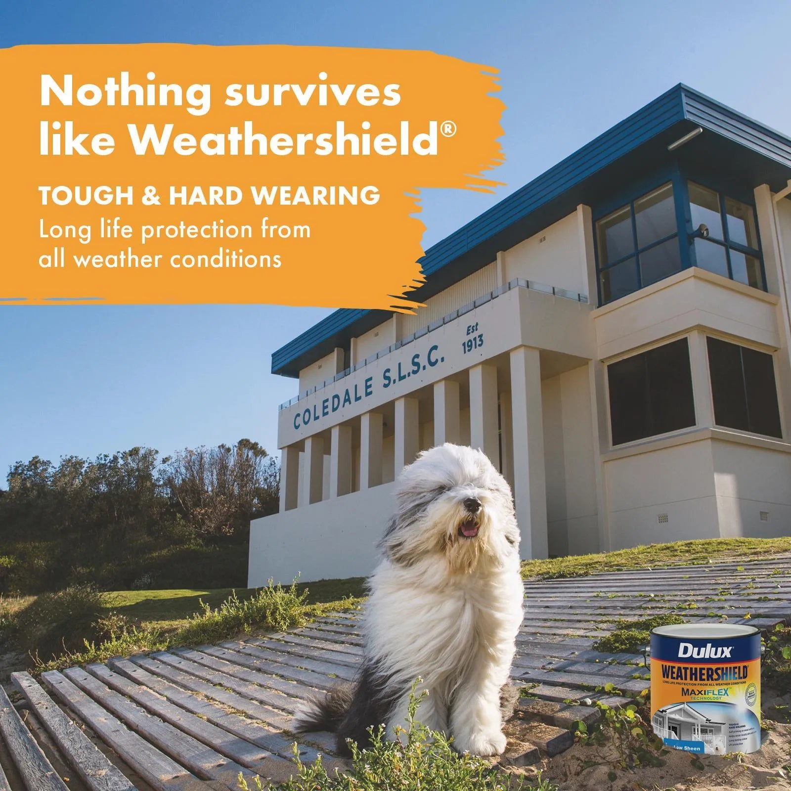Dulux 2L Deep Low Sheen Weathershield Exterior Paint