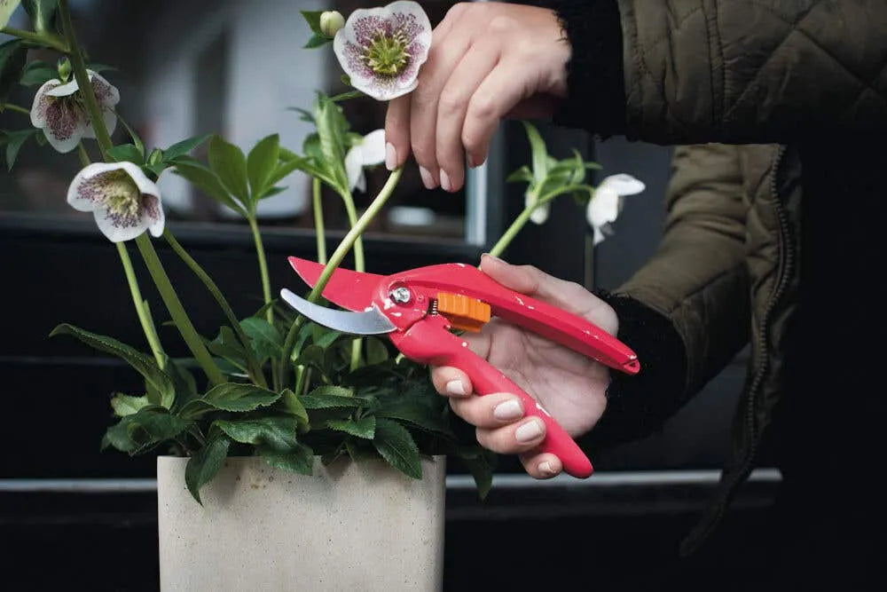 Fiskars Inspiration Bypass Secateurs P26 Ruby