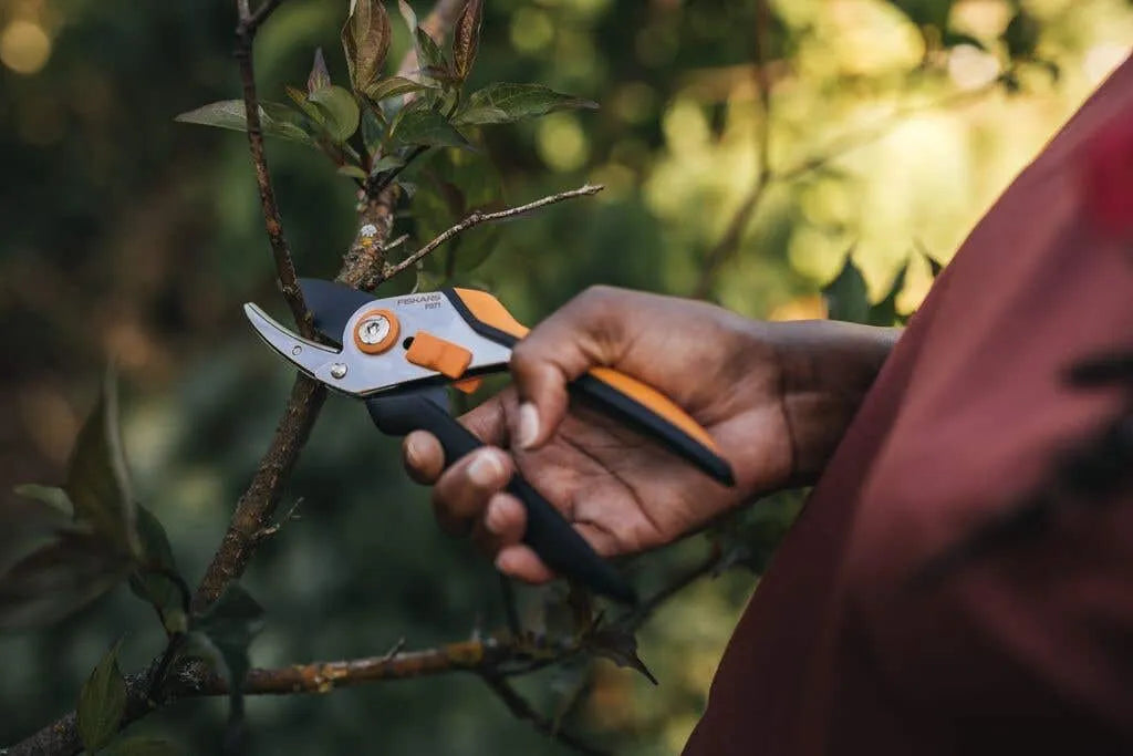 Fiskars Solid Anvil Secateurs