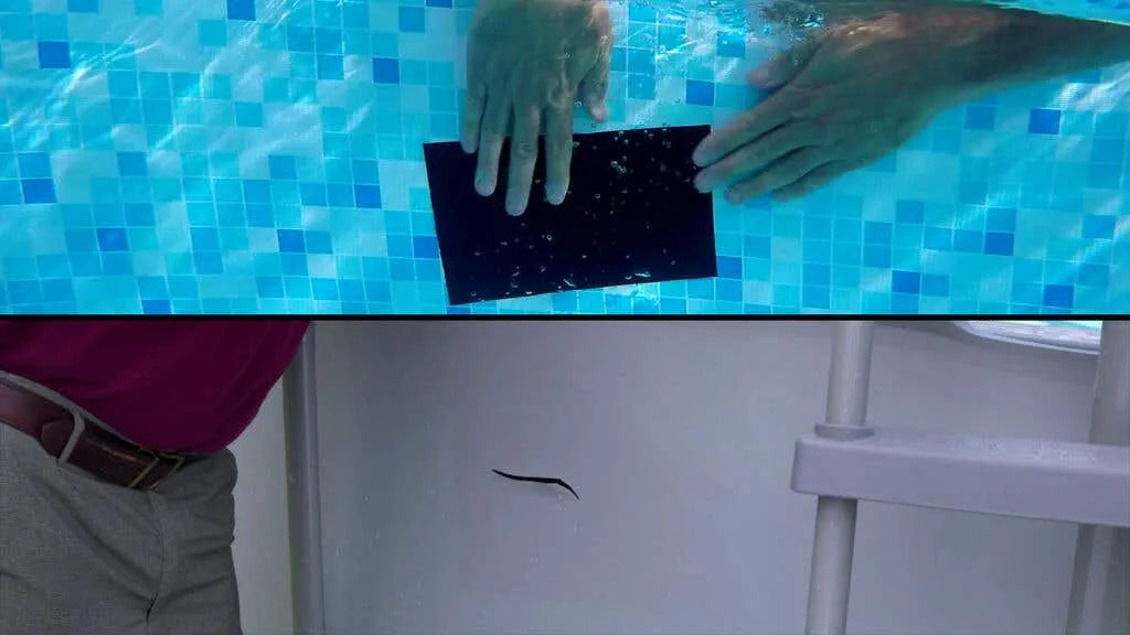 Flex Tape Black 102mm x 1.52m