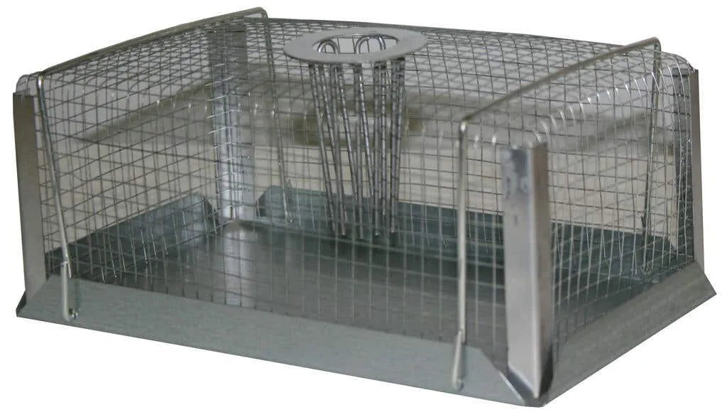 Greenleaf Mouse Trap Top Funnel Grey Small 200 x 130 x 90mm