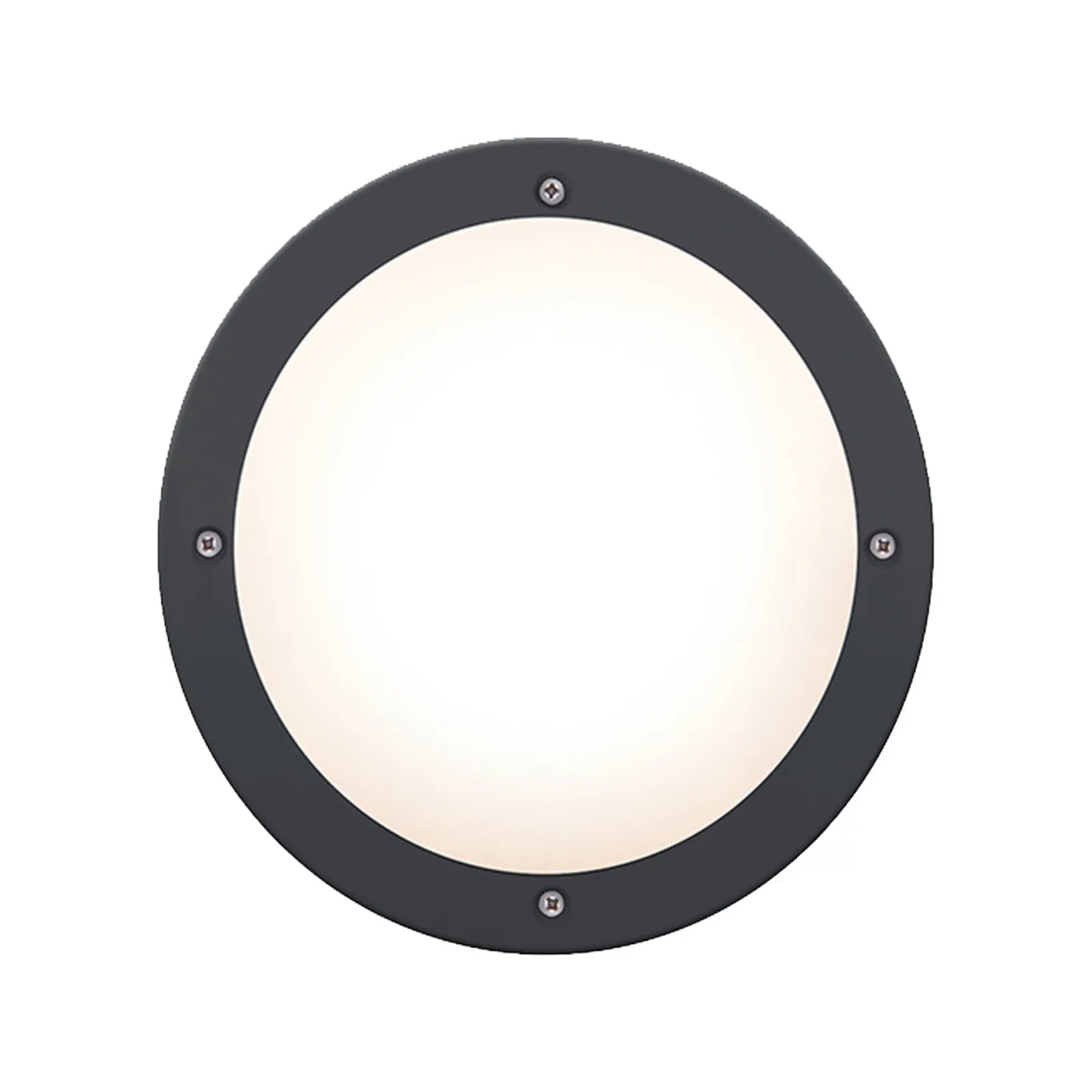 HPM Oroya 16W LED Cool White Bunker Light Black