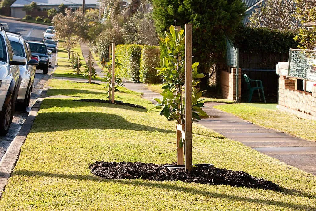 HR Greenwell Garden Edging Green