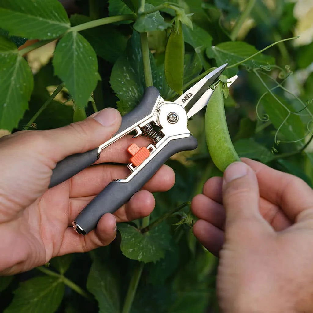 Neta Straight Blade Secateurs