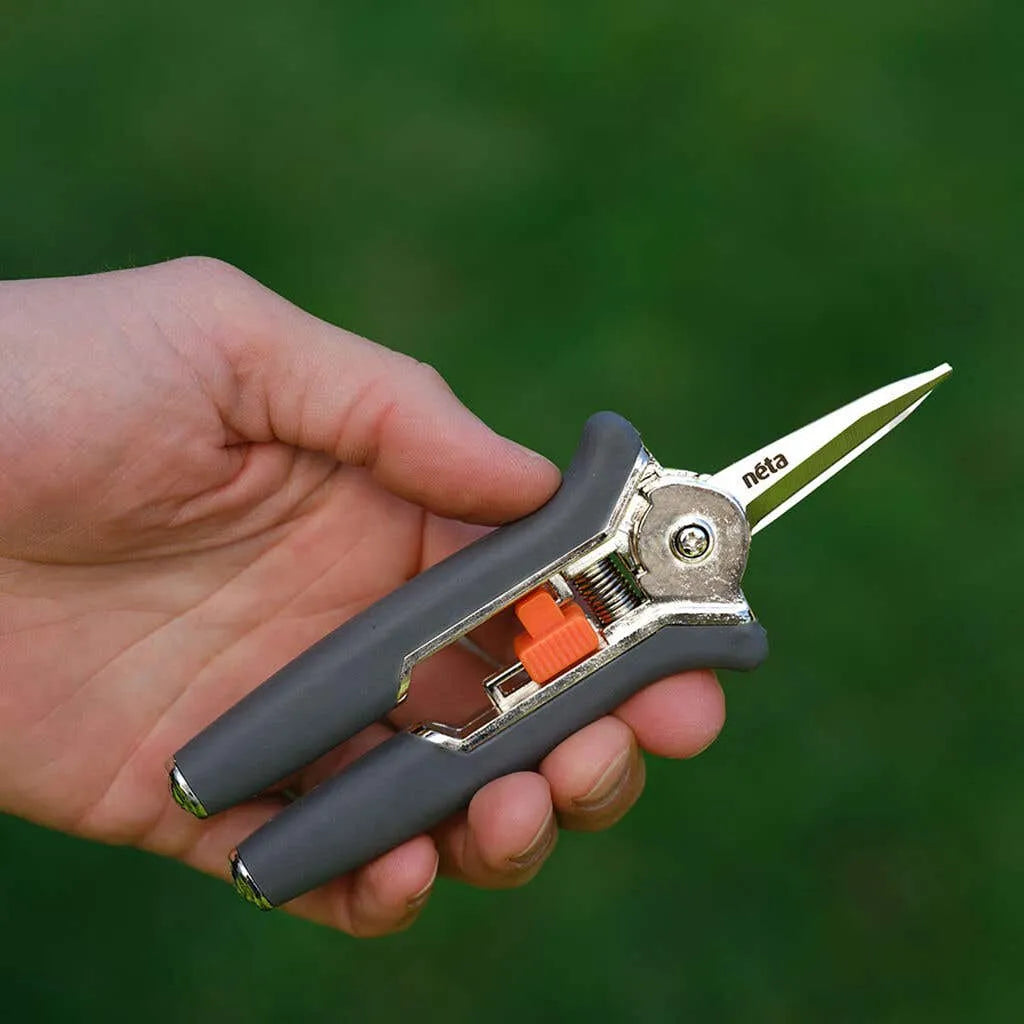 Neta Straight Blade Secateurs