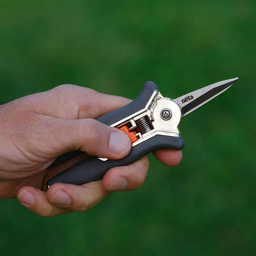 Neta Straight Blade Secateurs