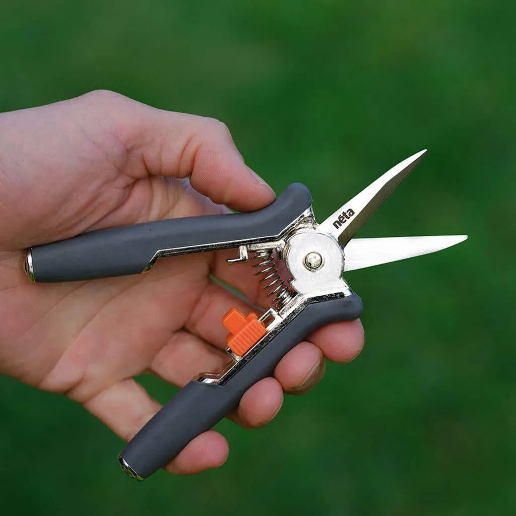 Neta Straight Blade Secateurs