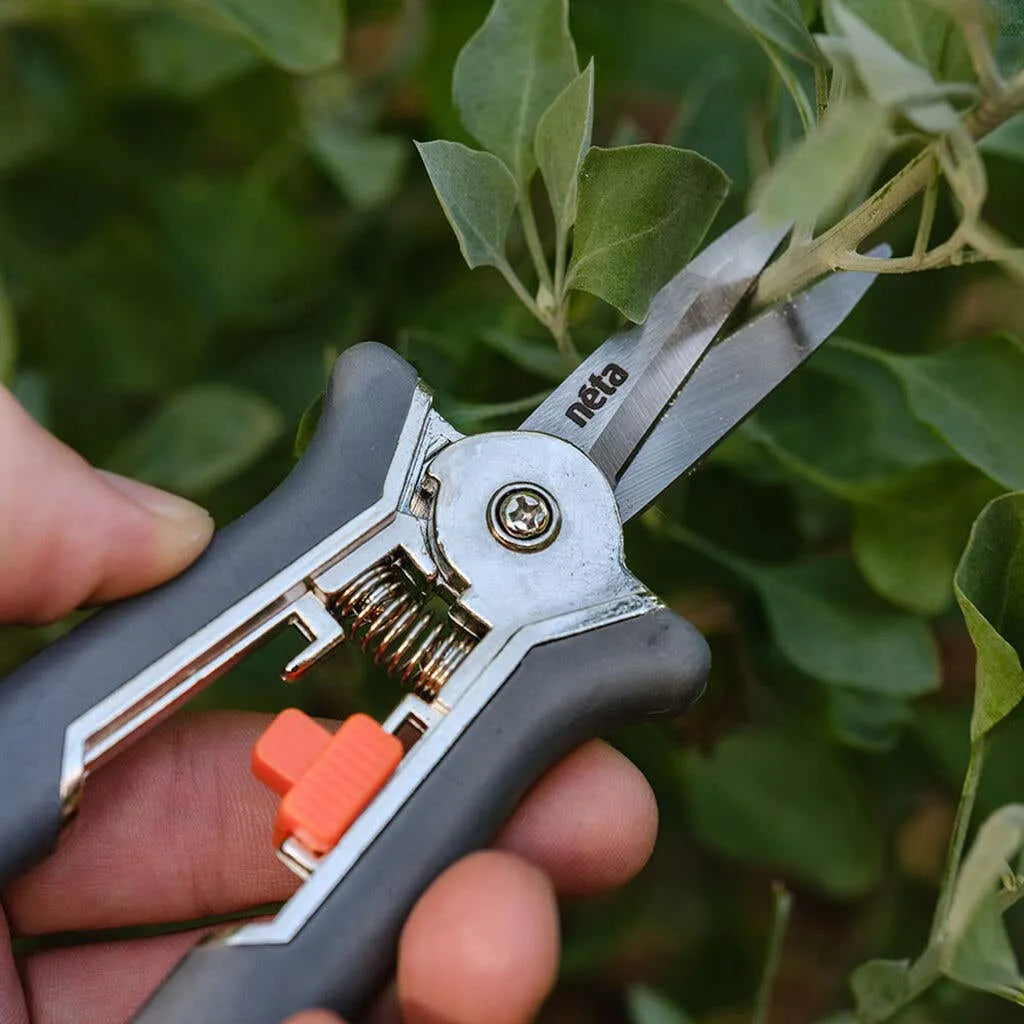 Neta Straight Blade Secateurs