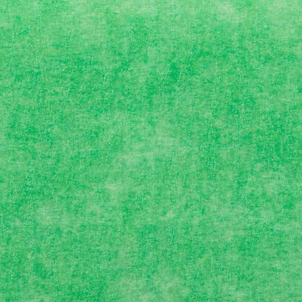 Painter's Mate Green Painter's Tape 48mm x 55m