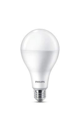 Philips LED Globe 19W ES Cool Daylight