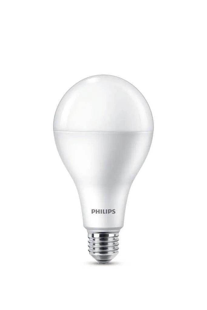 Philips LED Globe 19W ES Cool Daylight