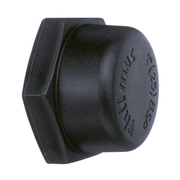 Philmac BSP Cap Poly 3/4"