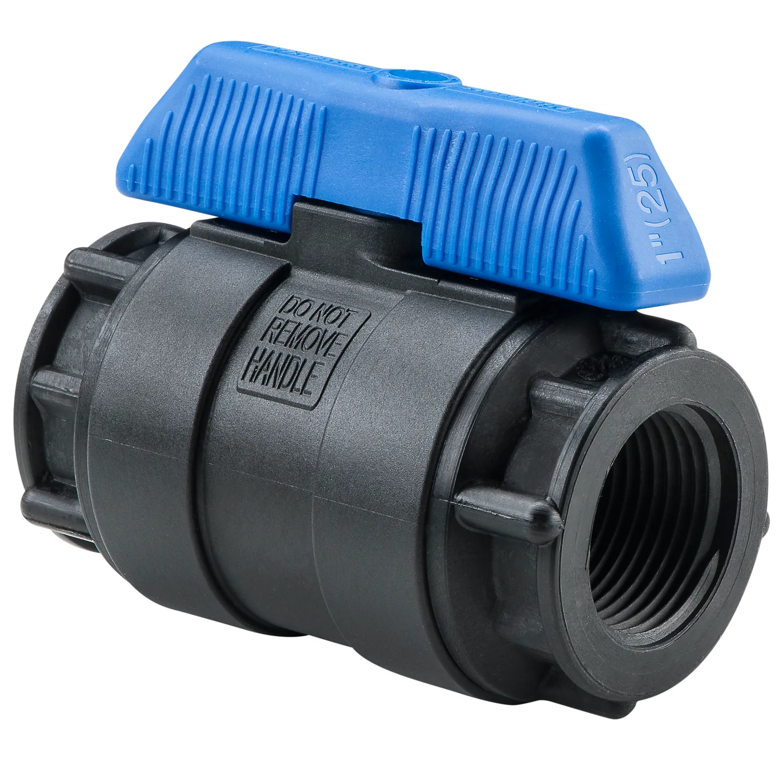 Philmac BSP Threaded Ball Valve Female 2"