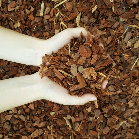 Pine Bark Mini Nuggets 25mm