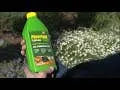 Powerfeed Fertiliser 1L