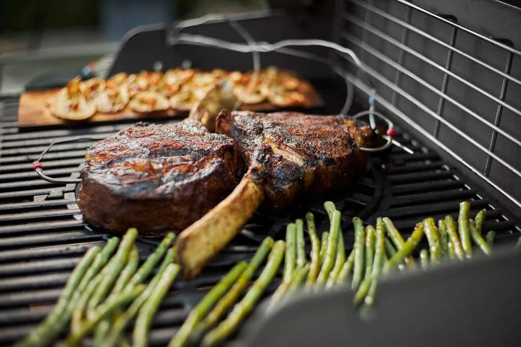 Weber Connect Smart Barbecue Hub