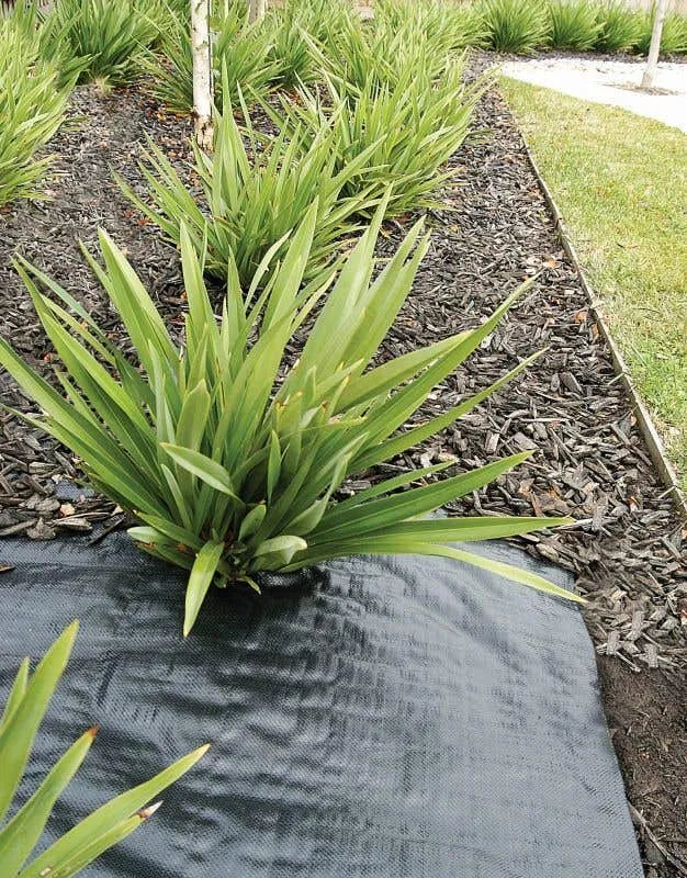 Weed Mat Economical Black 0.9m x 25m