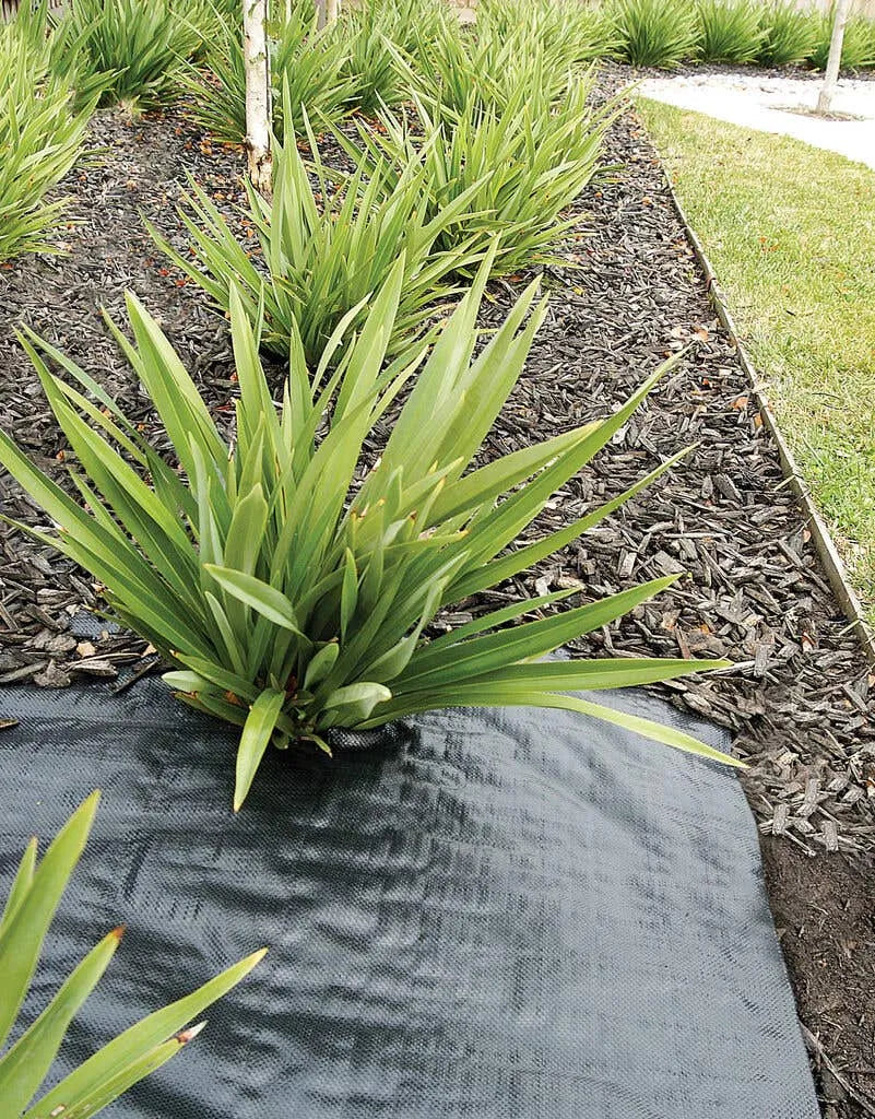 Weed Mat Economical Black 1.8m x 10m 445980