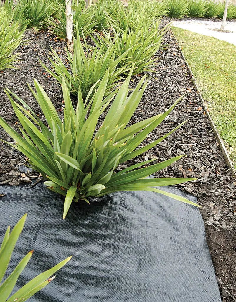 Weed Mat Economical Black 1.8m x 50m WMS15
