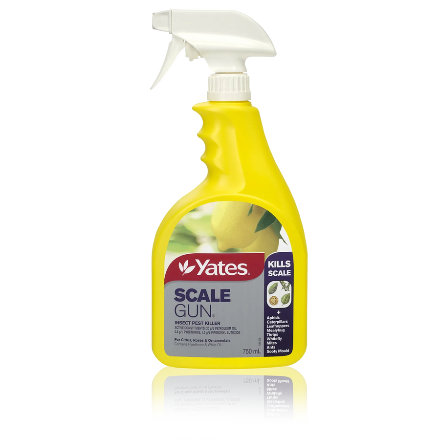 Yates 750ml Ready to Use Scale Gun Insect Pest Killer