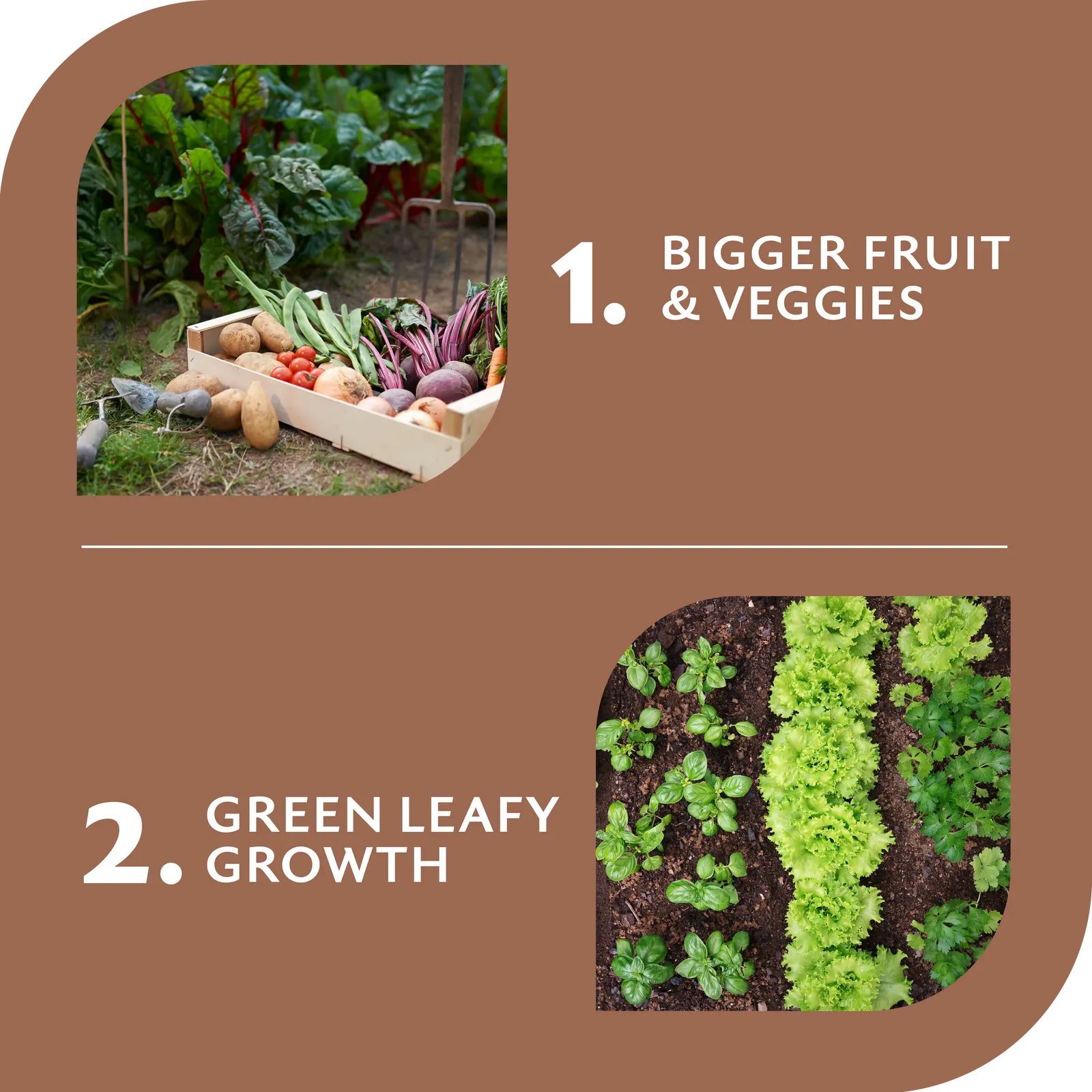 Yates Dynamic Lifter Plant Food 7kg