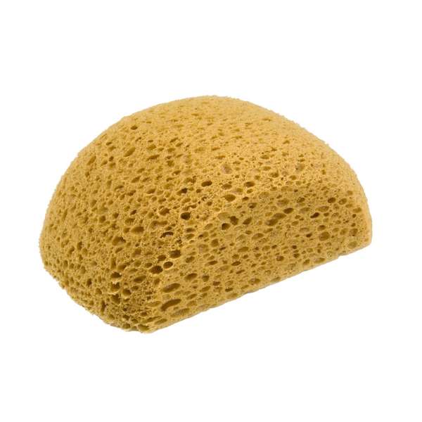 DTA Turtle Back Sponge