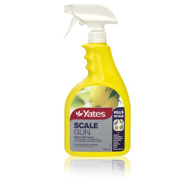 Yates 750ml Ready To Use Scale Gun Insect Pest Killer