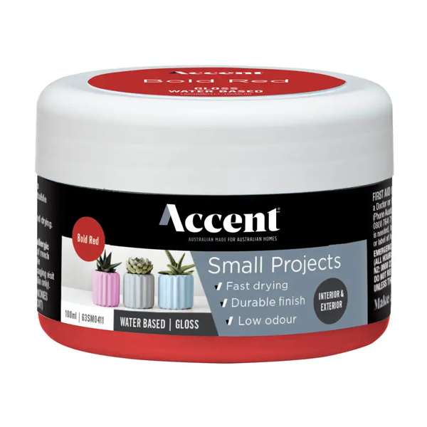 Accent Small Projects Water Based Gloss 100ml