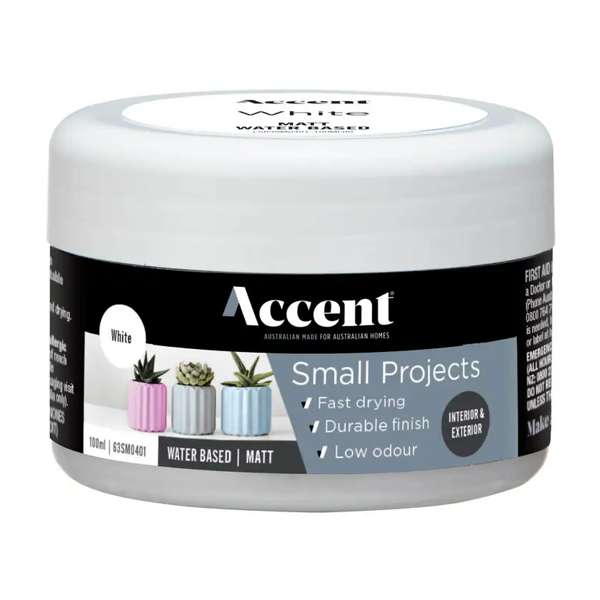 Accent Small Projects Water Based Matt 100ml