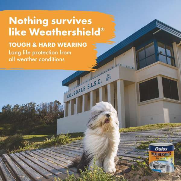 Dulux Weathershield Exterior Gloss Vivid White