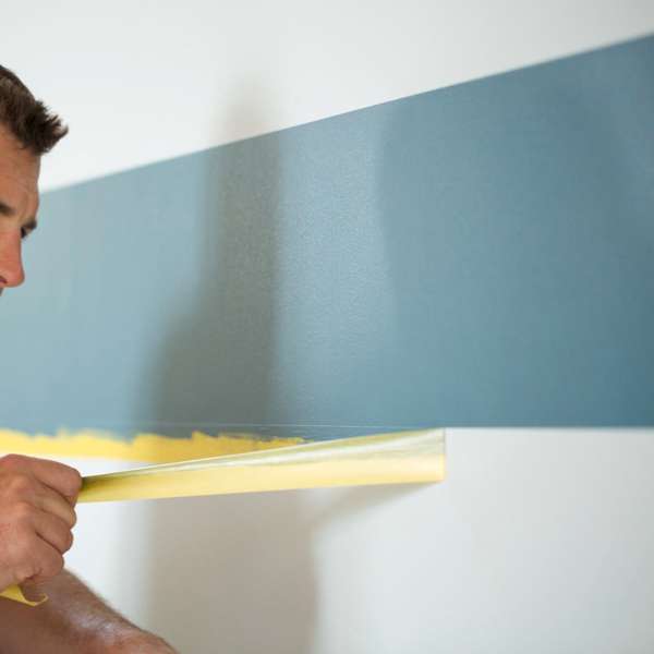 FrogTape Delicate Surface Painter's Tape