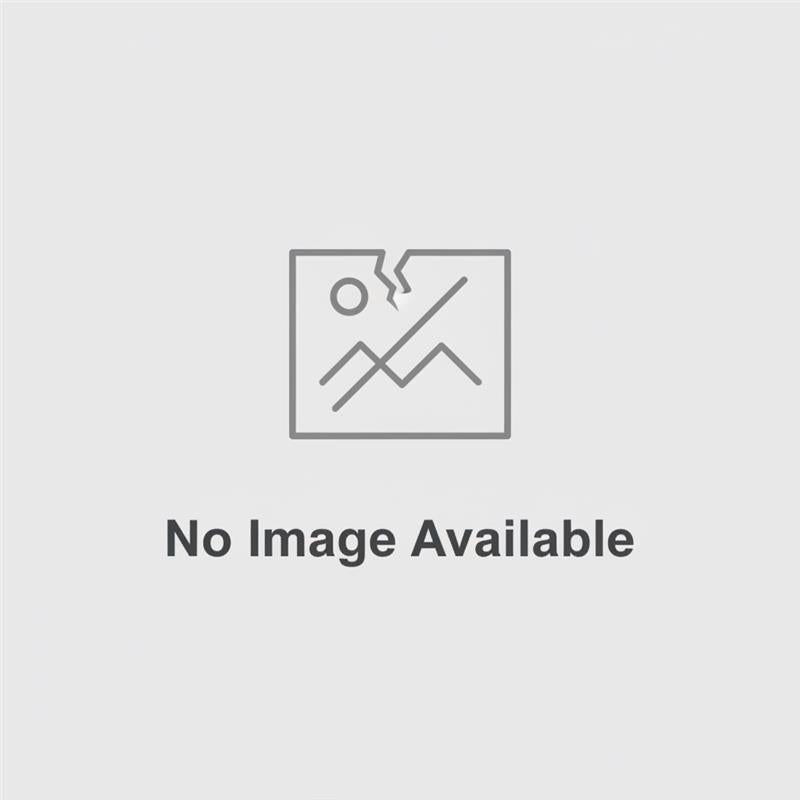 Dunlop Silicone Coloured Charred Ash 310ml