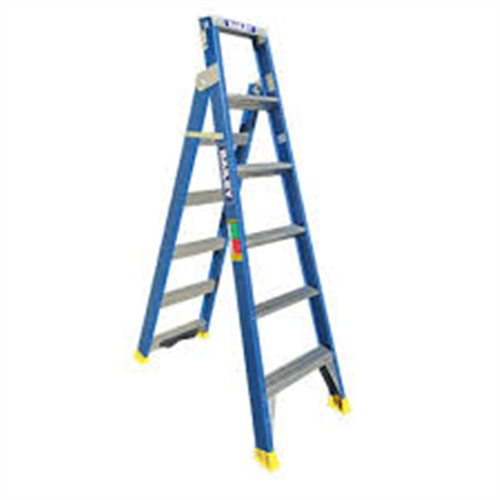 Bailey Ladder Dual Purpose 120kg